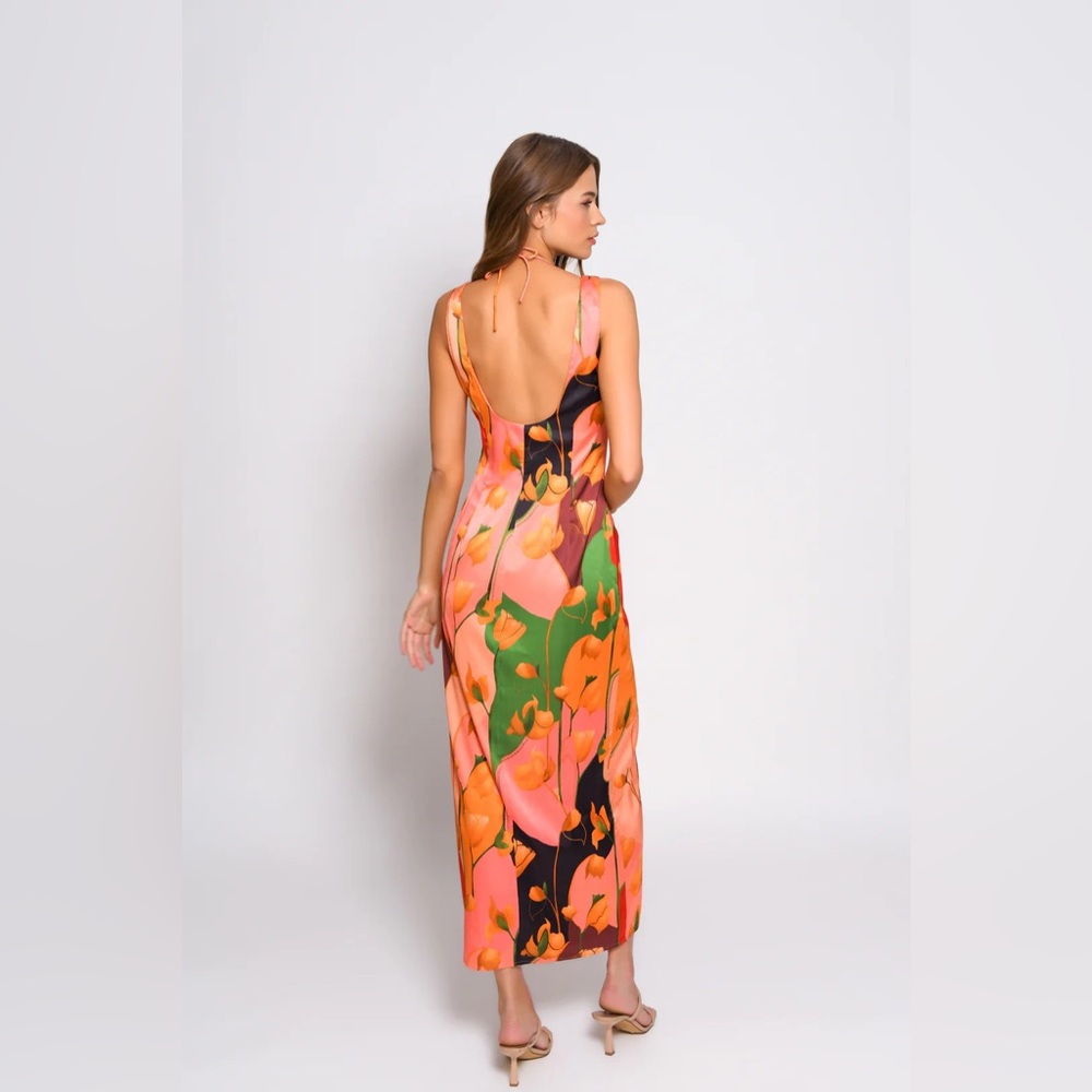 Hutch Mischa Midi Dress - Picture 3 of 6